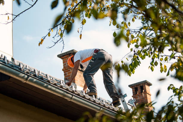 Best New Roof Installation  in Fox Lake Hls, IL