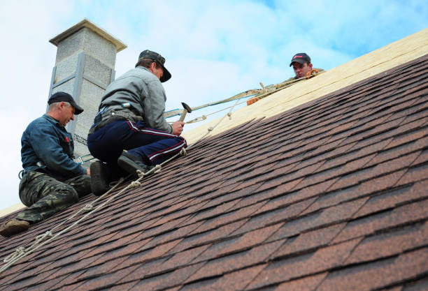 Best Shingle Roofing Installation  in Fox Lake Hls, IL